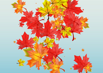 Fototapeta na wymiar Colorful Leaves Background Blue Vector. Floral Flying Template. Ocher Shape Foliage. Season Leaf Design.