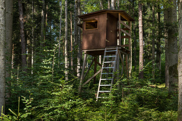 Geschlossener Hochsitz mit geöffneten Fenstern im idyllischen dichten sonnigen Wald mit hohen...