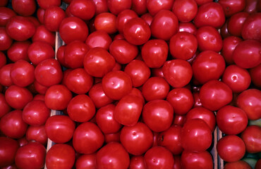 
tomatoes on the board