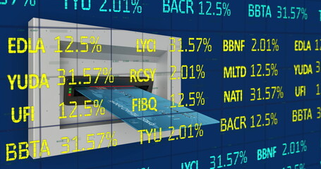 Image of financial data processing over credit card input device