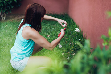 squatting woman pruning a rose bush with pruning shears