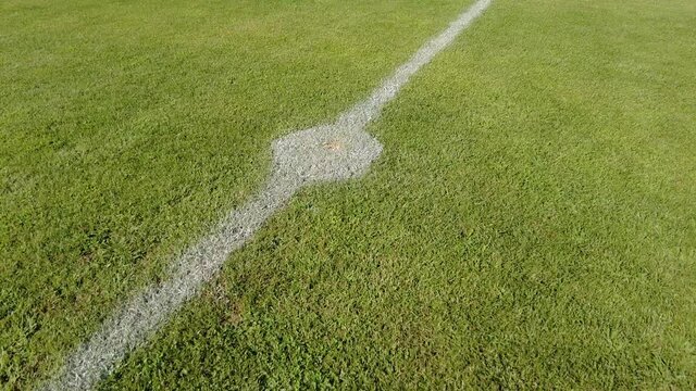 Soccer, Football field grass. Close up of the lines and grass on a soccer pitch.