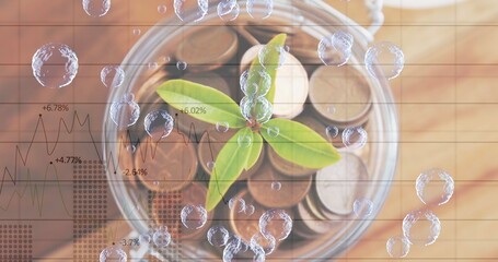 Multiple bubbles floating over financial data processing against plant in glass full of coins