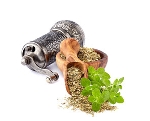Oregano or marjoram leaves isolated on white background. Oregano fresh and dry.