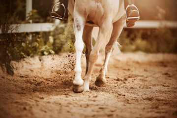 A white horse with a rider in the saddle gallops through a sandy arena, stepping hooves on the sand...