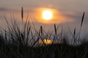 Sonnenuntergang Dünen Sonne Abend Stimmung Atmosphäre Morsum Kliff Horizont Nordsee Sylt...