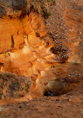 Morsum Kliff Sylt Oryctolagus Wildkaninchen Jungtier Limonit Sand orange Küste Nationalpark Wattenmeer Nordsee Welterbe Steilküste Unterschlup Höhle Bau Schutz Klippen Naturschutzgebiet 