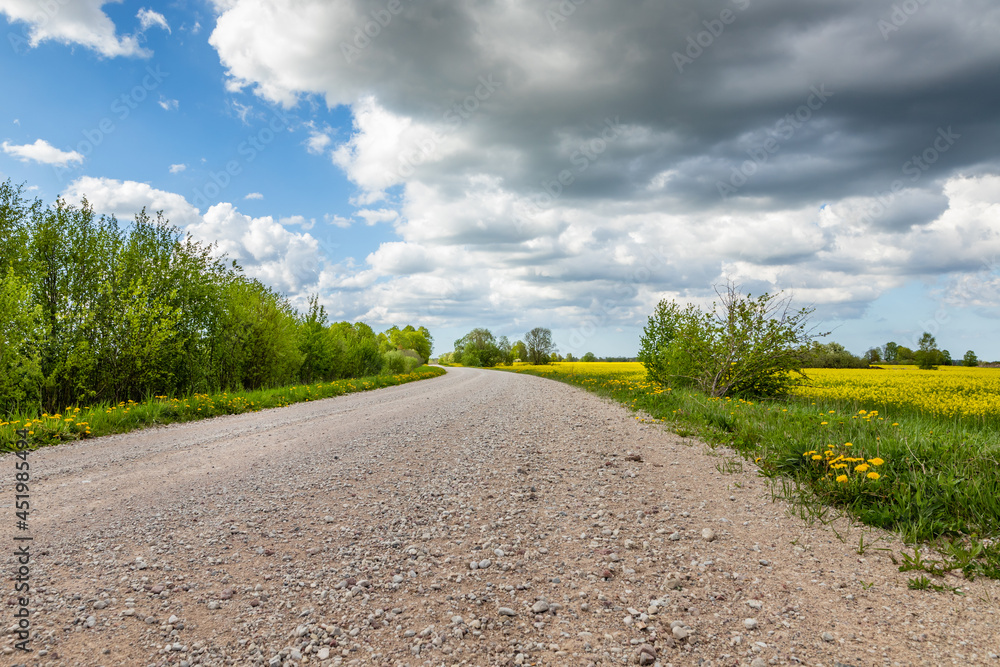 Wall mural scenic grey gravel road at countryside during intermittent cloudy spring day. low angle photo of peb