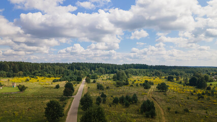 Fototapeta na wymiar Summer rural landscape with the blue sky, clouds, meadow and forest. Aerial view. Countryside concept.
