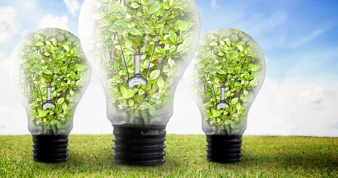 Animation of light bulbs full of plants over blue sky and grass