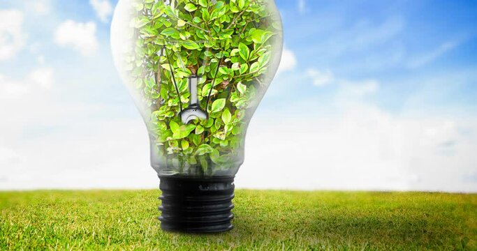 Animation of light bulb full of plants over blue sky and grass