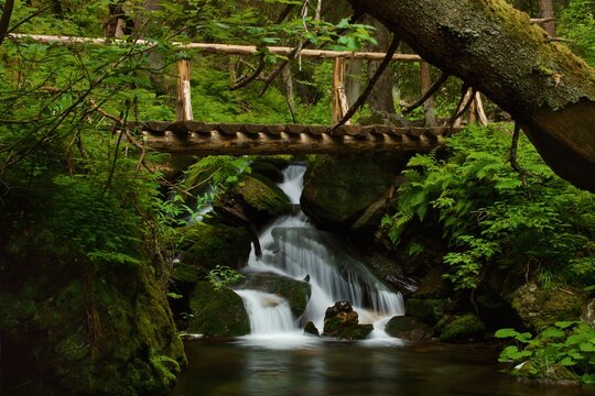 Waterfalls of B&iacute;l&eacute; Opavy. Lush forests and greenery on hiking trail of Bila Opava (White Opava) Valley, popular tourist attraction in Jeseniky Mountains, Czech Republic