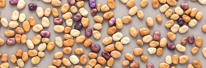 Legumes are scattered in the background, natural banner of brown and purple beans, top view