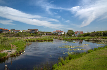 Fototapeta na wymiar Houses on the wetland. Wetland reconstruction. Rural landscape 