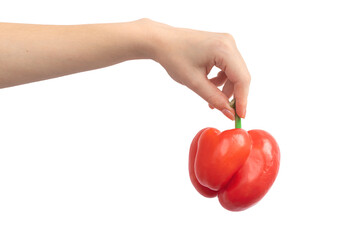 Hand with red sweet pepper in hand isolated on a white background