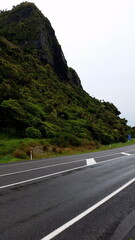 Tropical New Zealand wilderness