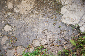 Rain puddle on grey old asphalt. Autumn season weather. 