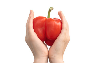 Healthy food concept. Red sweet bell pepper in hand isolated on a white background. Woman holding bulgarian pepper