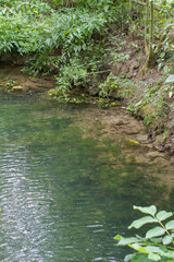 transparent water with sediments from rich soil of the marsh