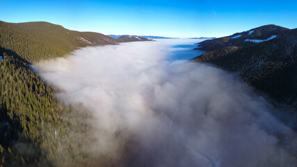 Aerial drone flight above a sea of clouds covering Lotru Valley. until horizon. The mist touches the spruce forests growing on the mountain sides. A road winds along the river below. Carpathia.