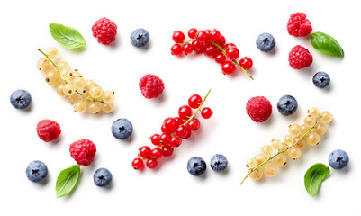 composition of fresh berries and green leaves