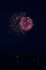Beautiful Firework in the dark sky.
