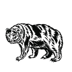 Illustration of grizzly bear vector for logo