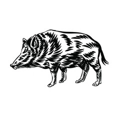 Illustration of vintage hogs vector for logo