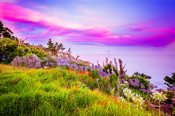 Coastline of Eden against Blue-hour Sky