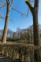 Pond of castle Ter Horst in Loenen, The Netherlands