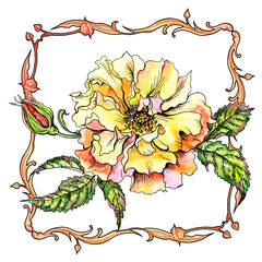Lush yellow English rose in a frame in the art nouveau style, watercolor illustration on a white background, isolated, raster clipart for various designs.