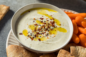 Homemade Organic Greek Yogurt Labneh Dip
