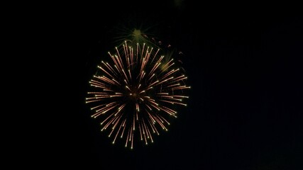 Obraz premium fireworks in the sky