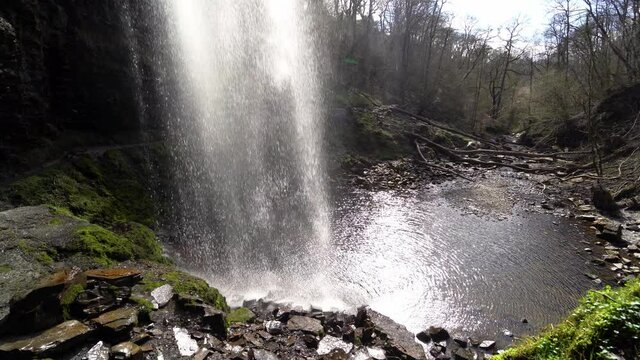 Gwyn 이미지 찾아보기 93 스톡 사진, 벡터 및 비디오 Adobe Stock