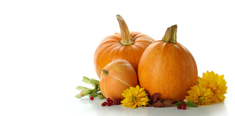 Thanksgiving Day pumpkins isolated on white background