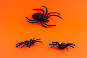 Close up of black horror spiders on orange backdrop with copy space. Halloween decoration spooky background concept for holidays