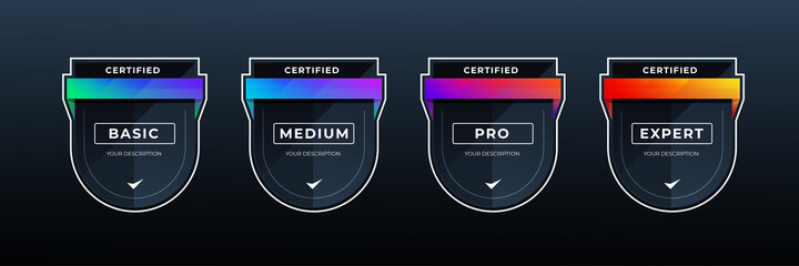 certified shield badge for professional business in colorful shape. vector game certification icon template.