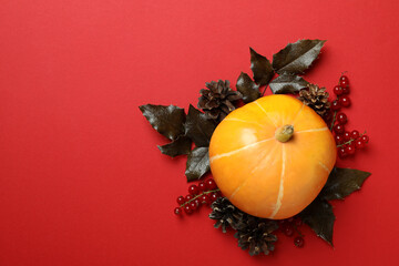 Thanksgiving Day composition with pumpkin on red background