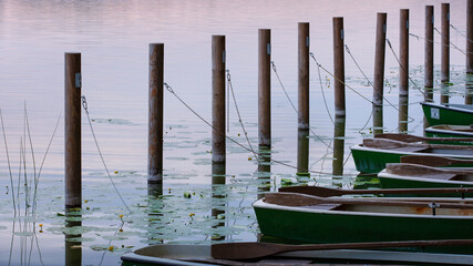 boats in the harbor