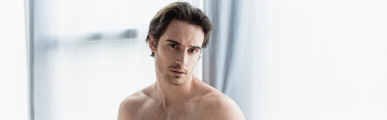 Obraz premium young shirtless man looking at camera near window, banner