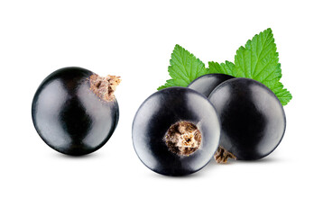 Composition of black currant with leaves isolated on white background. Excellent retouching and detailing, full depth of field