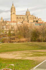 Catedral junto al Río Tormes