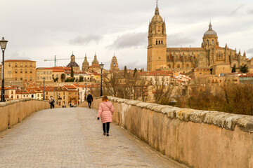 Catedral junto al Río Tormes