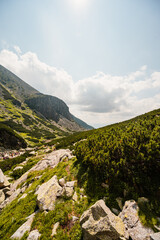 Mountain valley with waterfall Skok. High Tatras national park , Mlynicka dolina, Slovakia landscape. © Zedspider