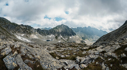 Mountain valley full of  lake and blooming flowers and a sidewalk leading to the valley. High Tatras national park , Mlynicka dolina, Slovakia landscape. © Zedspider