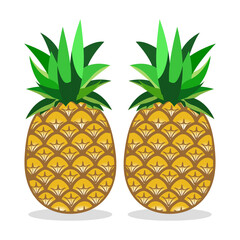 pineapple fruit with leaves, illustration design