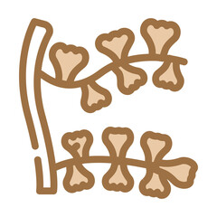 sargassum horneri seaweed color icon vector. sargassum horneri seaweed sign. isolated symbol illustration