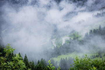 Fototapeta na wymiar Deep clouds over the fir trees in the Austrian Alps - Vorarlberg region - travel photography