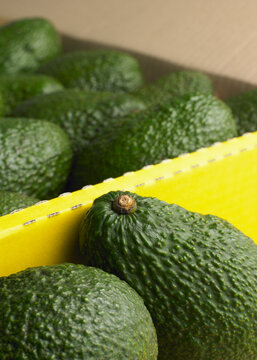 Hass avocados packed in a yellow box