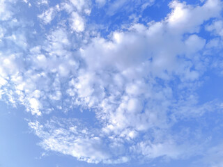 blue sky with white clouds